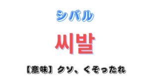 韓国語「씨발（シバル）」の意味とは｜下ネタ？発音 